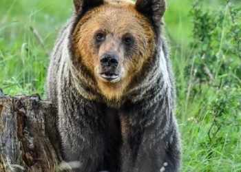 (Foto: Vierka Balážová Duchoňová)