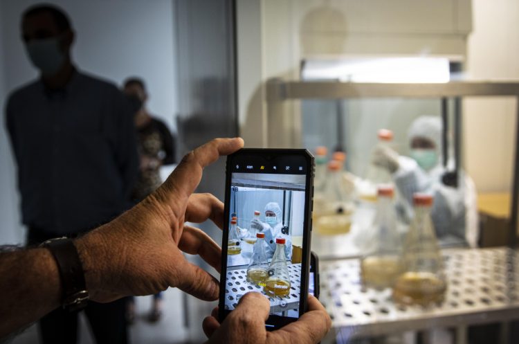 A journalist takes a cell phone photo of a scientist working on the development of Abdala, an experimental vaccine for COVID-19, at the Center for Genetic Engineering and Biotechnology (CIGB) in Havana, Cuba, Thursday, Feb. 25, 2021. (AP Photo/Ramon Espinosa)