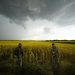 Ruskí vojaci strážia priestor pri pšeničnom poli. Záporožská oblasť je pod kontrolou ruských síl od prvých dní ruskej vojenskej akcie na Ukrajine (Foto: SITA/AP Photo)