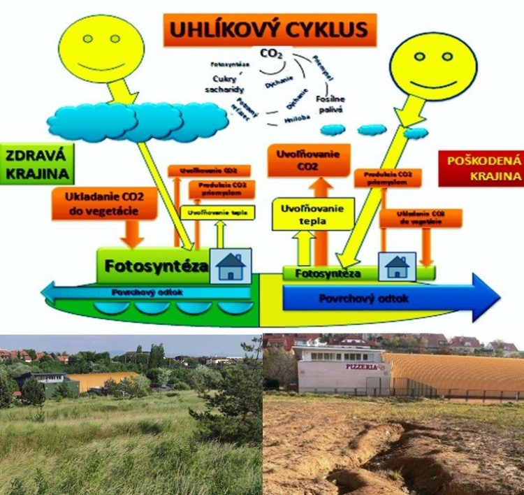 (Foto: facebook.com/kravcik.michal)