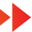 DiEM25