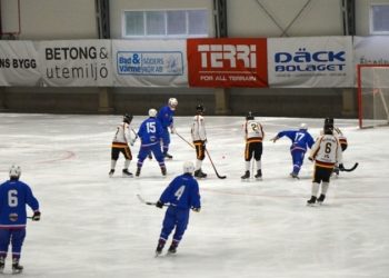 (Foto: Slovenská asociácia bandy)