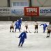 (Foto: Slovenská asociácia bandy)