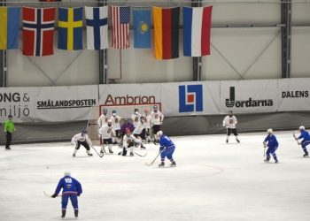 (Foto: Slovenská asociácia bandy)