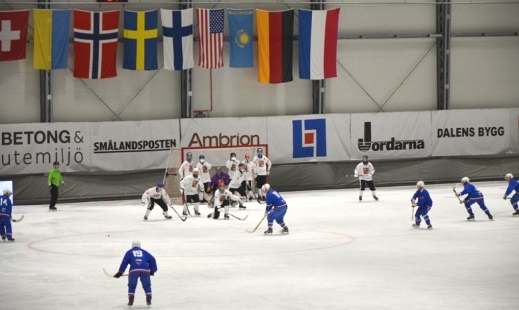 (Foto: Slovenská asociácia bandy)