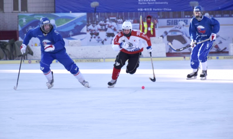 (Foto: Slovenská asociácia bandy)